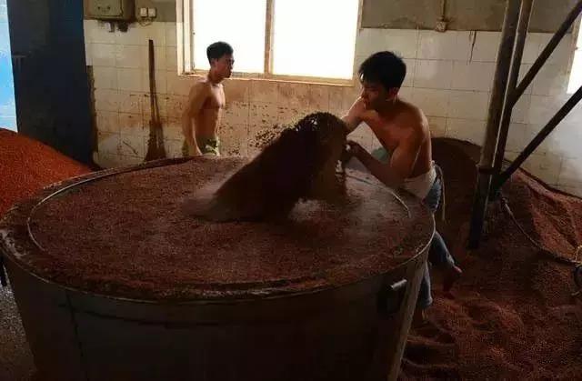 蒸粮